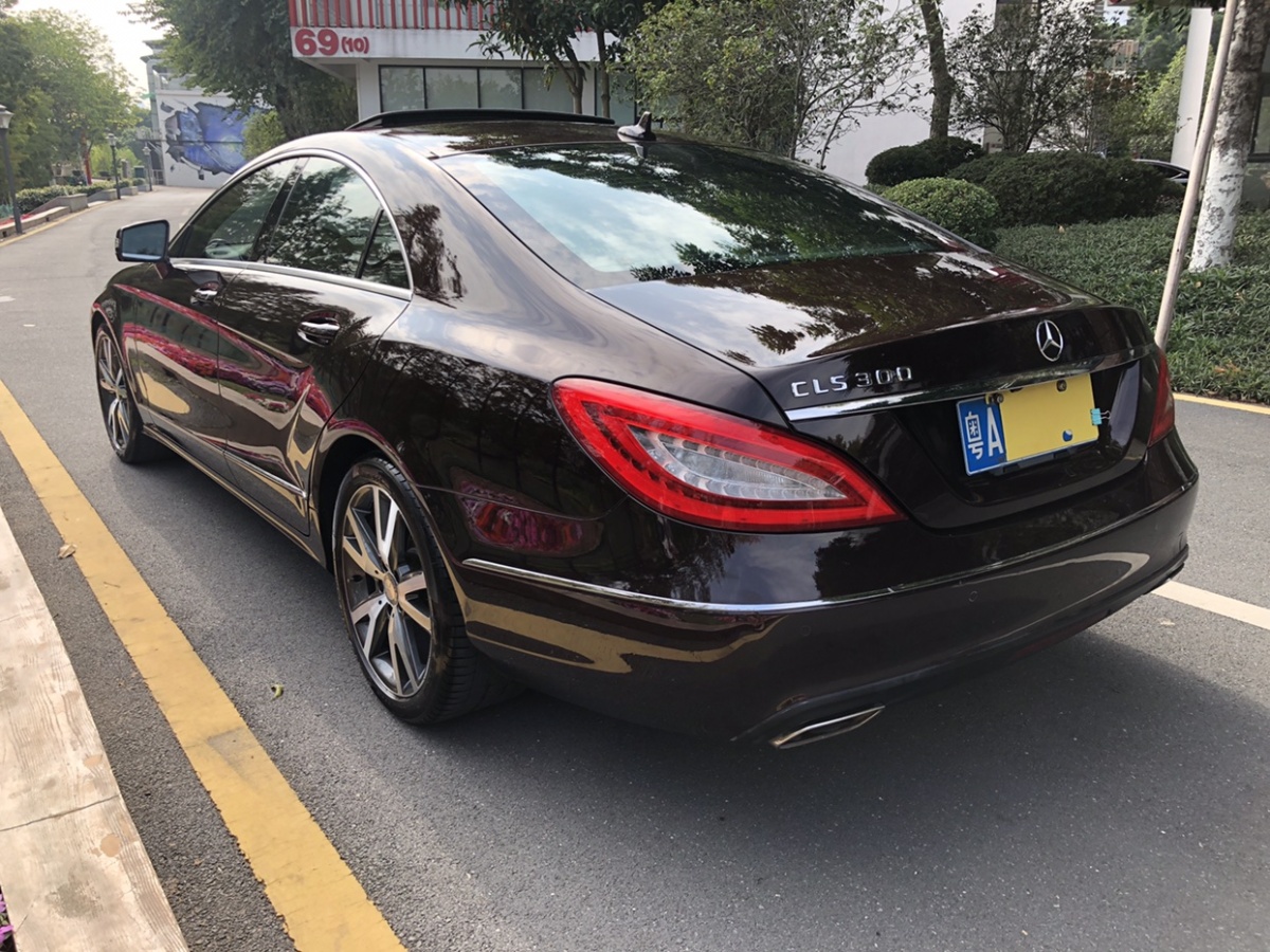 奔驰 奔驰cls级 2012款 cls 300 cgi图片