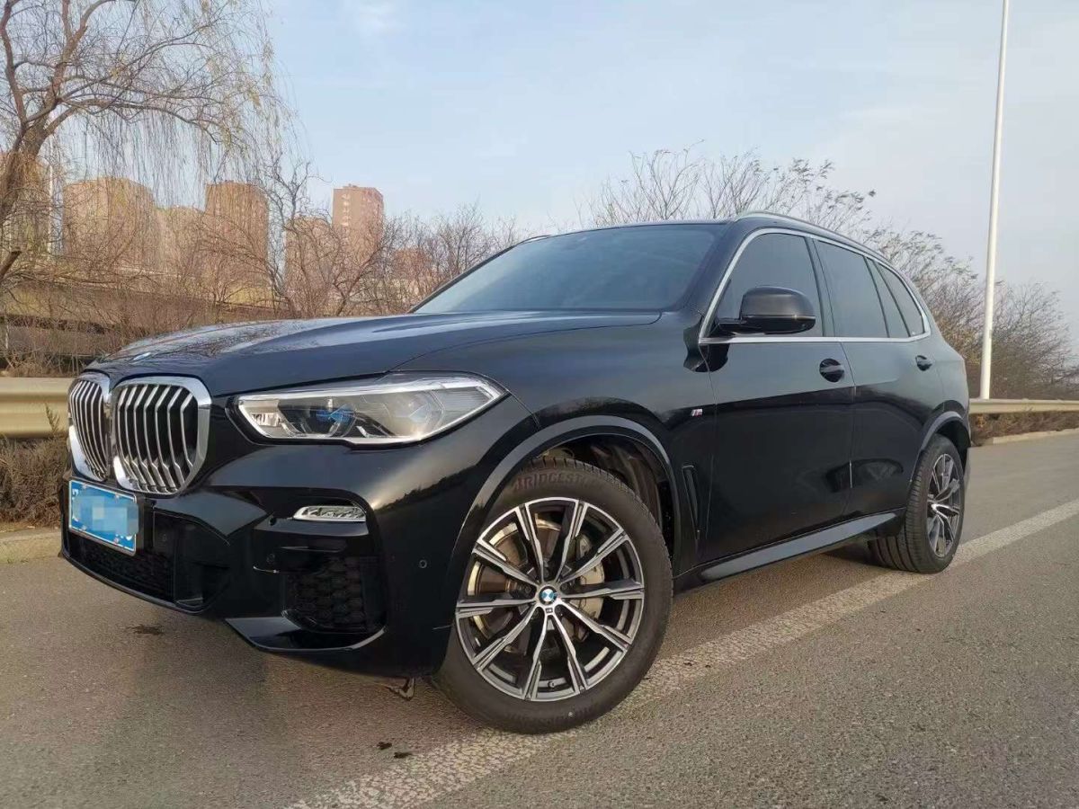 宝马 宝马x5 2019款 xdrive40i m运动套装图片