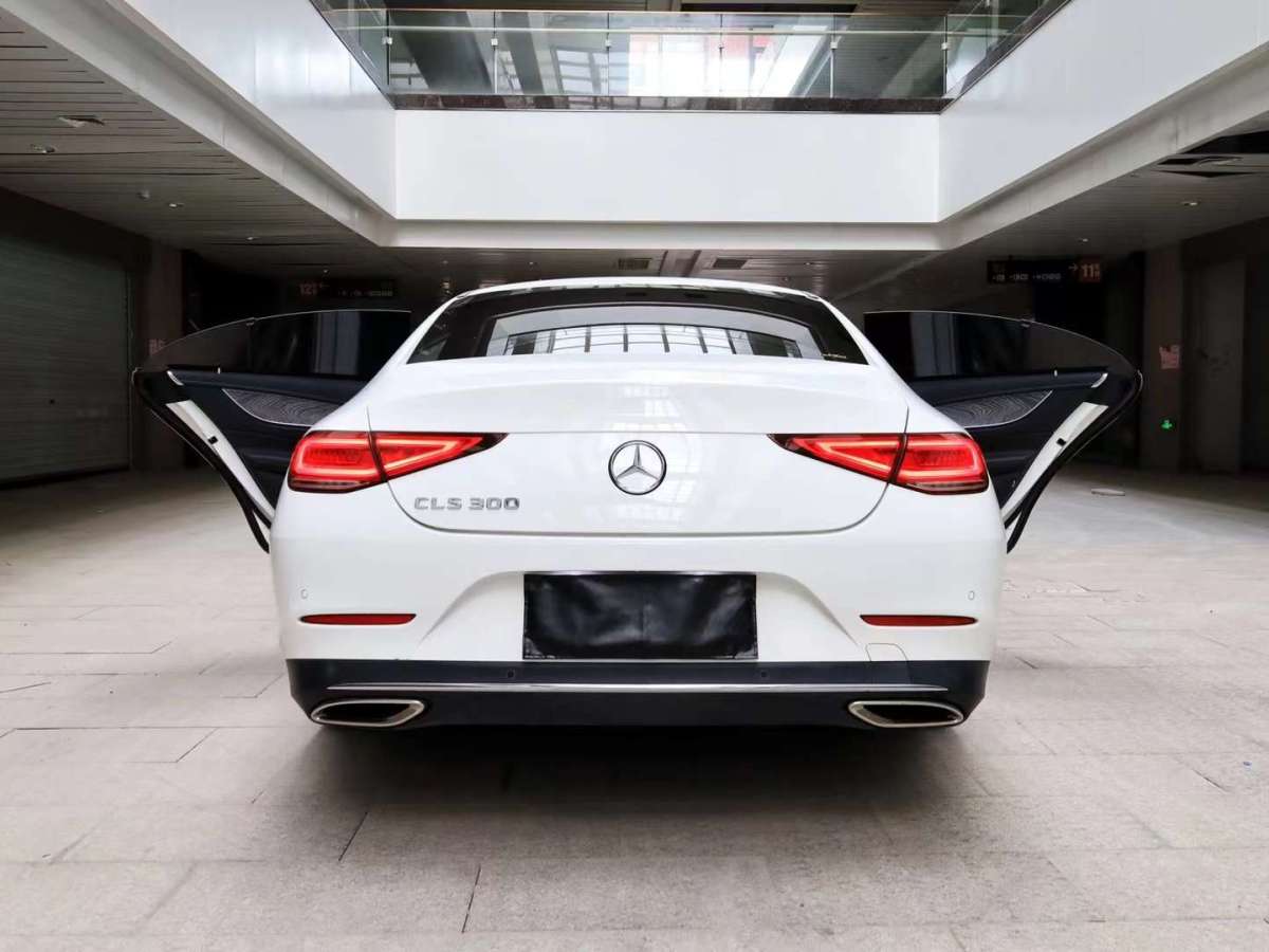 奔驰 奔驰cls级 2021款 cls 300 动感型图片