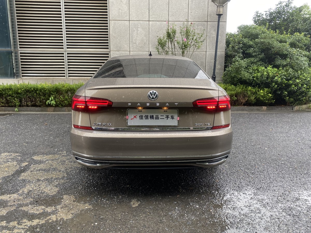 大众 帕萨特 2019款 380tsi 豪华版图片