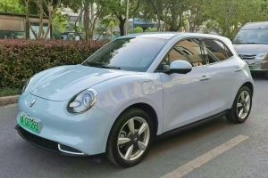 歐拉好貓 歐拉 401km標(biāo)準(zhǔn)續(xù)航 尊榮型 磷酸鐵鋰
