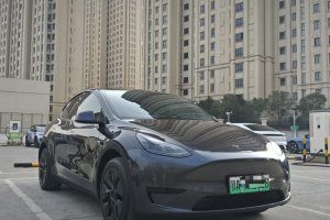 Model 3 特斯拉 改款 长续航后轮驱动版