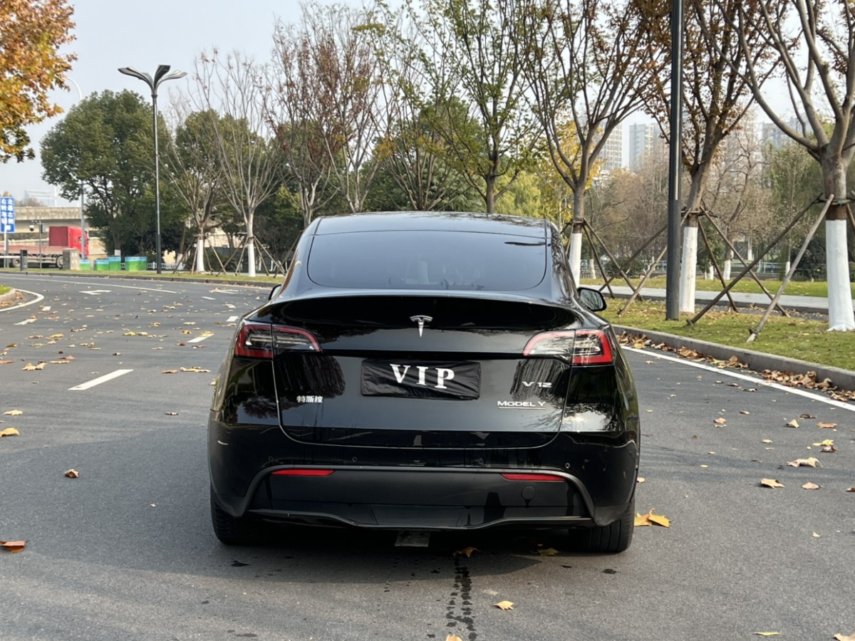 特斯拉 Model Y  2021款 標(biāo)準(zhǔn)續(xù)航后驅(qū)版圖片