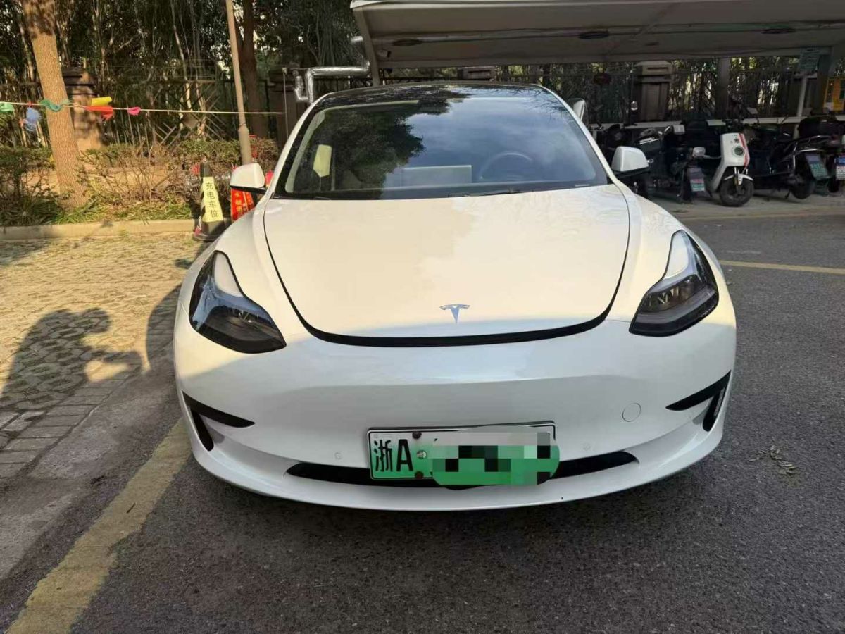 特斯拉 Model 3  2022款 Performance高性能全輪驅(qū)動版圖片