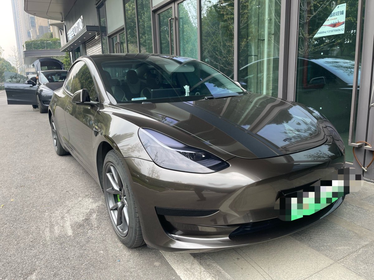 2021年2月特斯拉 Model 3  2019款 標準續(xù)航后驅(qū)升級版