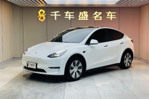 Model Y 特斯拉 標(biāo)準(zhǔn)續(xù)航后驅(qū)版