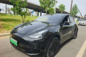 Model Y 特斯拉 Performance高性能全輪驅(qū)動(dòng)版