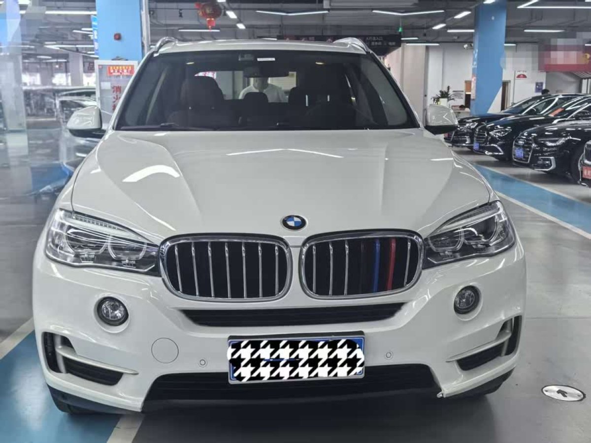 寶馬 寶馬X5  2018款 xDrive35i 典雅型圖片