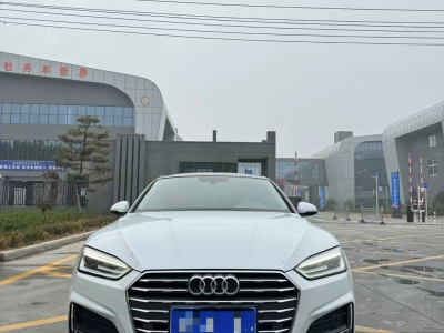 2018年1月 奧迪 奧迪A5(進(jìn)口) Sportback 40 TFSI 時(shí)尚型圖片