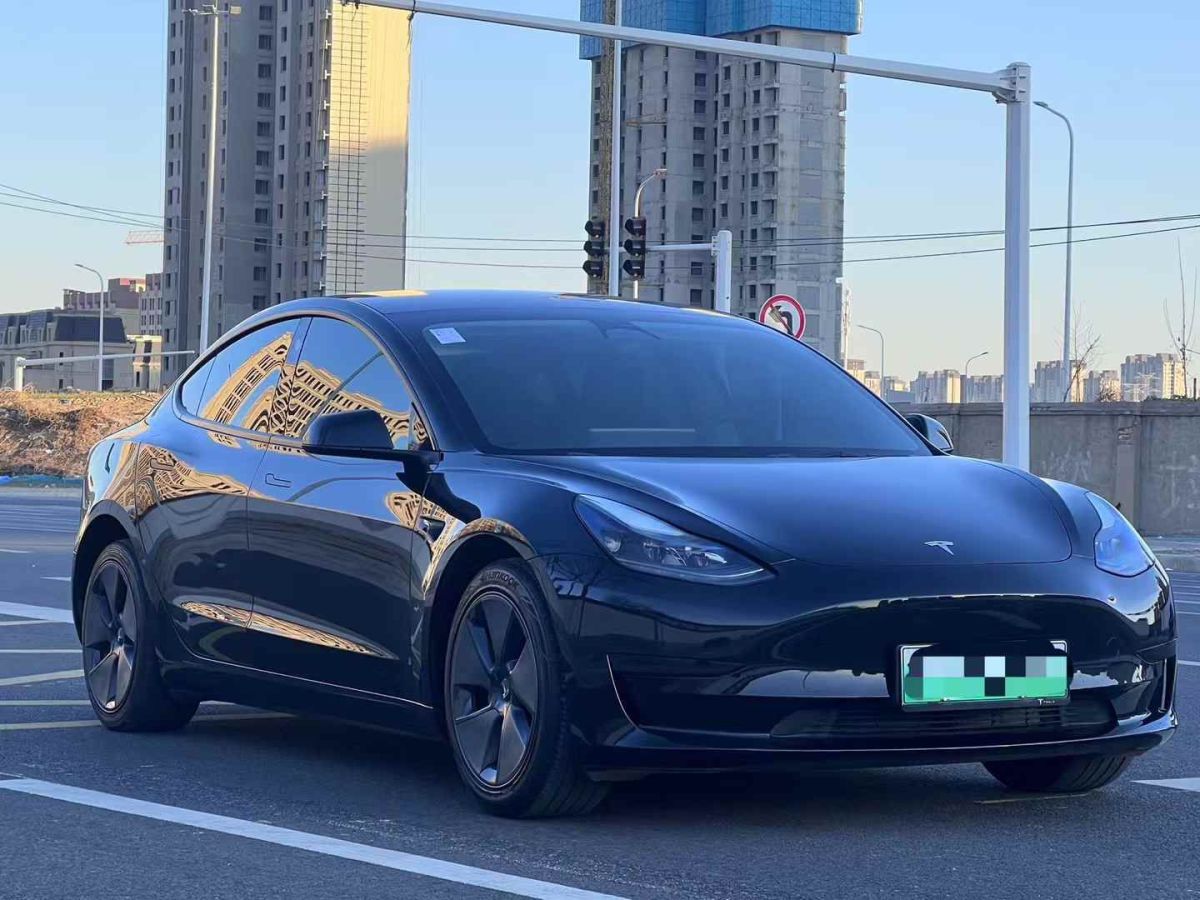 特斯拉 Model 3  2022款 Performance高性能全輪驅(qū)動(dòng)版圖片