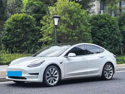 2020年6月 特斯拉 Model 3 標(biāo)準(zhǔn)續(xù)航后驅(qū)升級版圖片