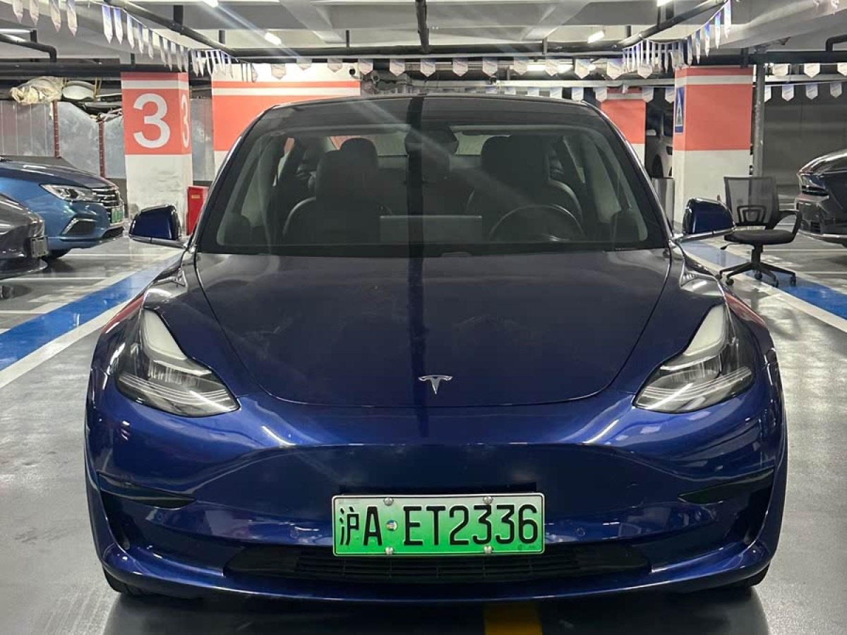 特斯拉 Model 3  2019款 標(biāo)準(zhǔn)續(xù)航后驅(qū)升級(jí)版圖片