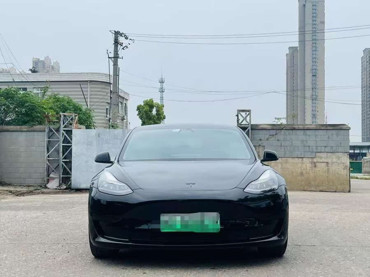 特斯拉 Model 3  2021款 改款 標(biāo)準(zhǔn)續(xù)航后驅(qū)升級版圖片