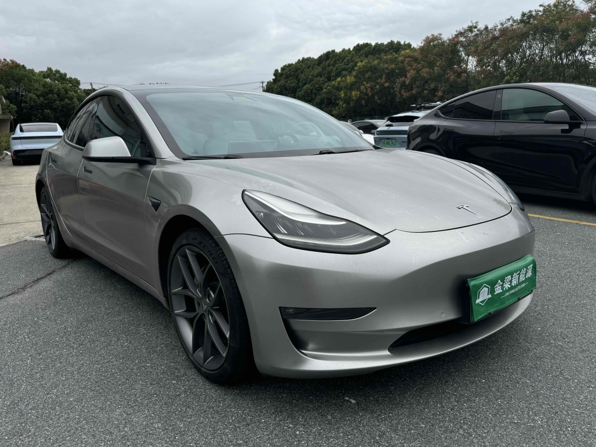 特斯拉 Model 3  2019款 標準續(xù)航后驅升級版圖片