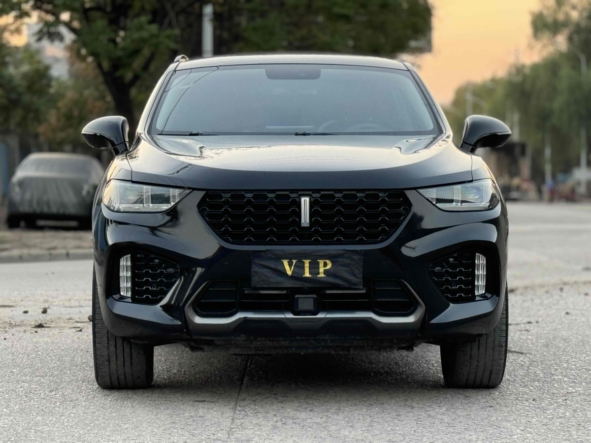 WEY VV5  2019款 升級(jí)款 2.0T 兩驅(qū)旗艦型圖片