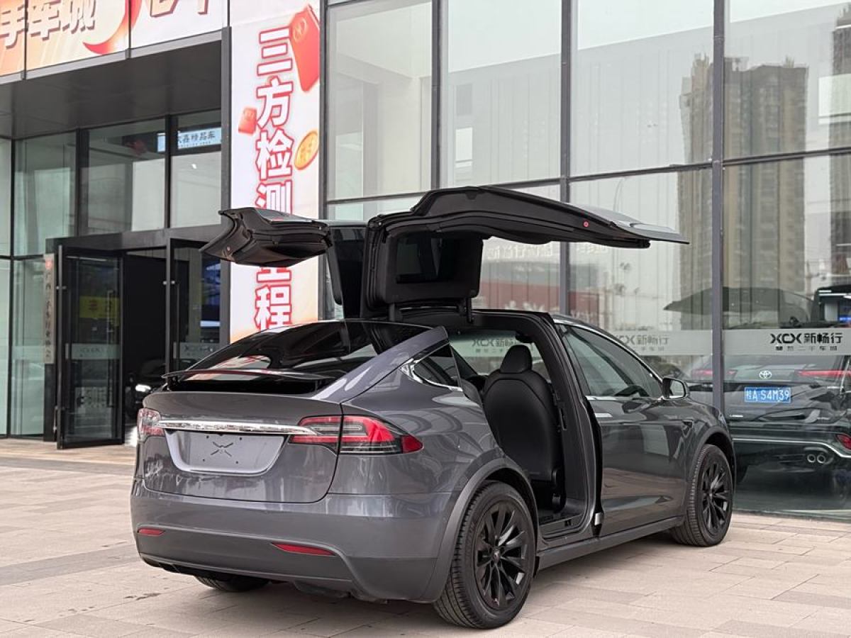 特斯拉 Model X  2020款 長(zhǎng)續(xù)航升級(jí)版圖片