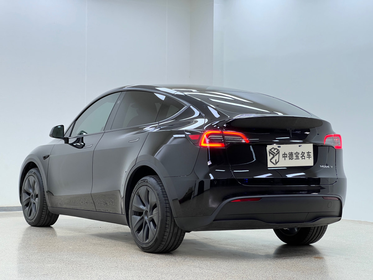 特斯拉 Model Y  2023款 長(zhǎng)續(xù)航煥新版 雙電機(jī)全輪驅(qū)動(dòng)圖片