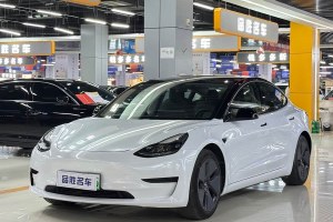 Model 3 特斯拉 標準續(xù)航后驅(qū)升級版 3D6