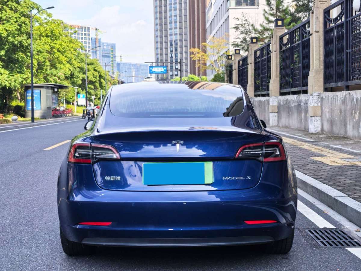 特斯拉 Model 3  2019款 标准续航后驱升级版图片