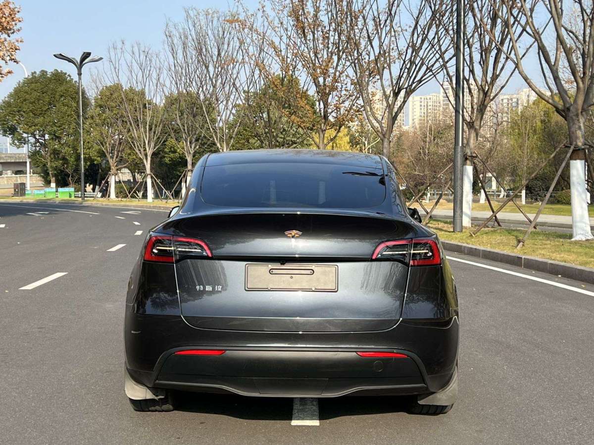 特斯拉 Model Y  2024款 長續(xù)航全輪驅(qū)動版圖片