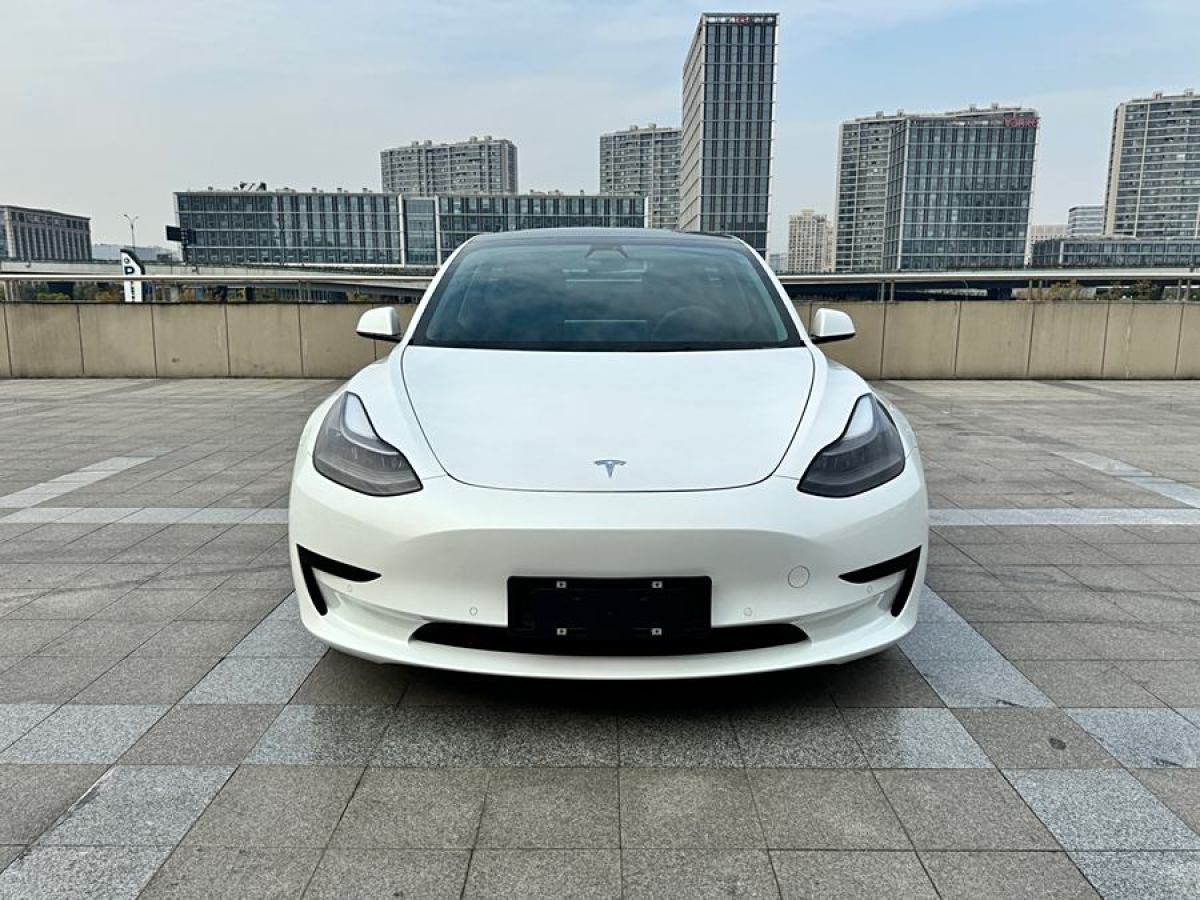 特斯拉 Model 3  2021款 改款 標(biāo)準(zhǔn)續(xù)航后驅(qū)升級版圖片