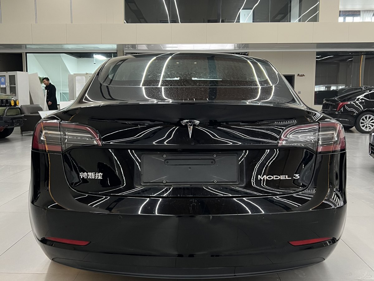 特斯拉 Model 3  2019款 標(biāo)準(zhǔn)續(xù)航后驅(qū)升級版圖片