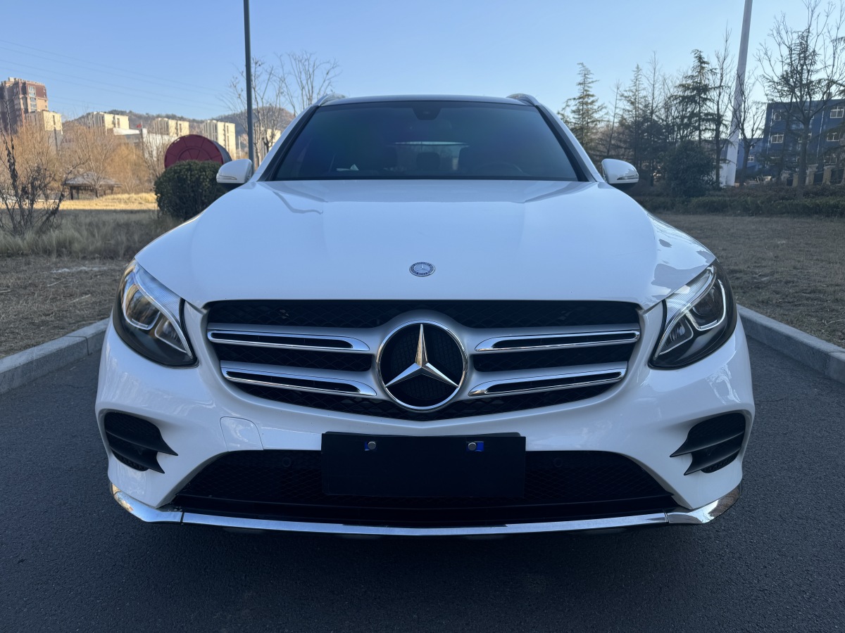 奔馳 奔馳GLC  2016款 GLC 260 4MATIC 動感型圖片