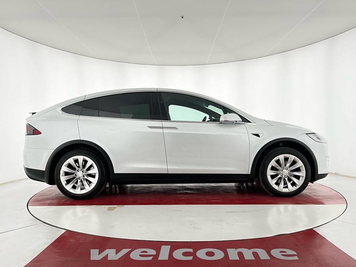 特斯拉 Model X  2019款 長續(xù)航版圖片