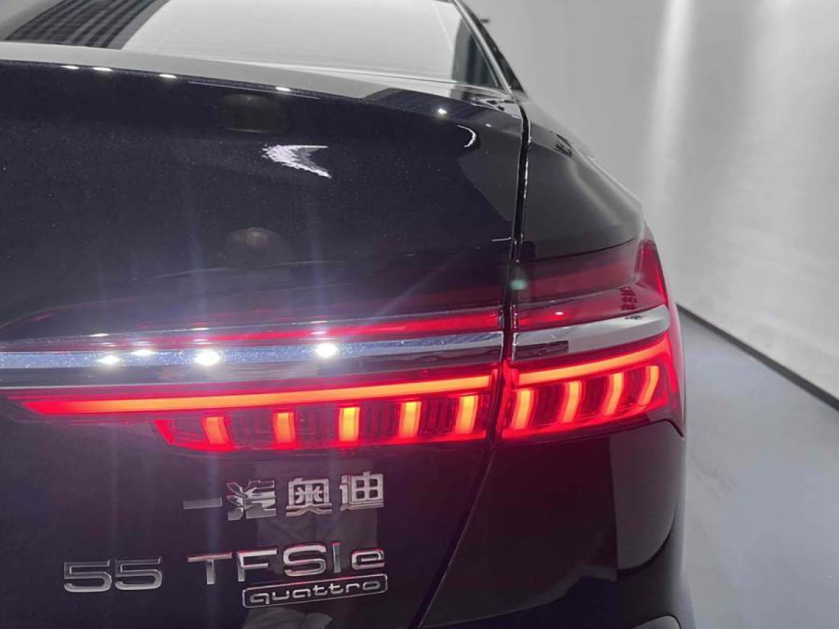 奥迪 奥迪A6L新能源  2020款 55 TFSI e quattro图片