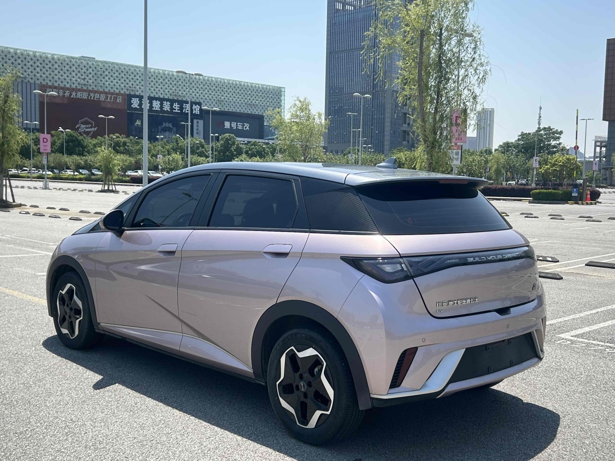 比亞迪 海豚  2021款 405km 時(shí)尚版圖片
