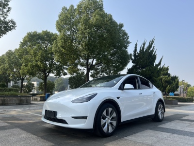 2022年01月 特斯拉 Model Y 改款 標(biāo)準(zhǔn)續(xù)航后驅(qū)升級(jí)版圖片