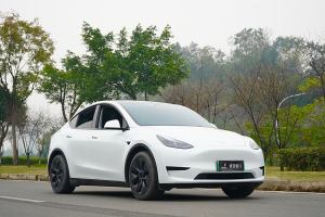 Model Y 特斯拉 改款 长续航后轮驱动版