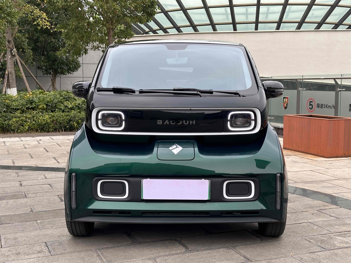 寶駿 寶駿KiWi EV  2022款 藝術(shù)家輕享版 三元鋰圖片