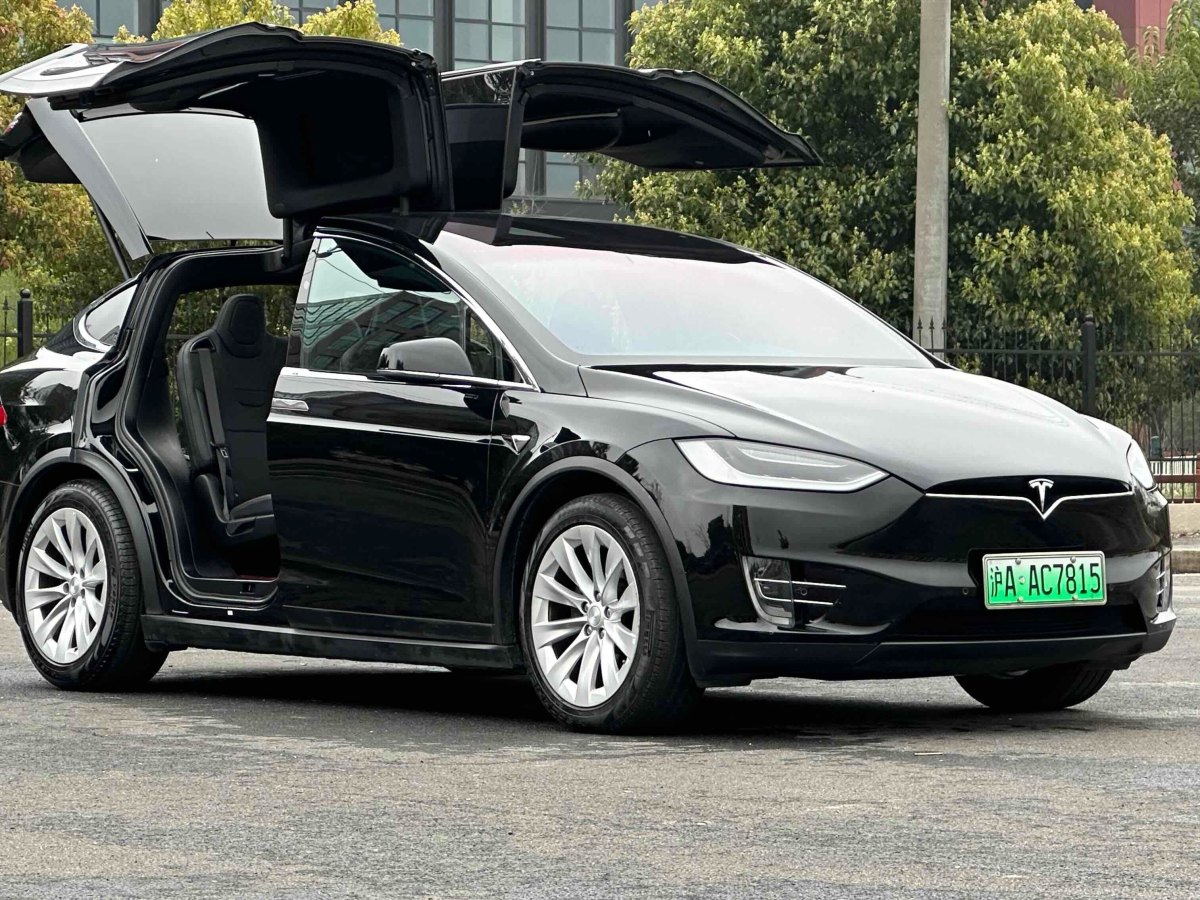 特斯拉 Model X  2016款 Model X 75D圖片