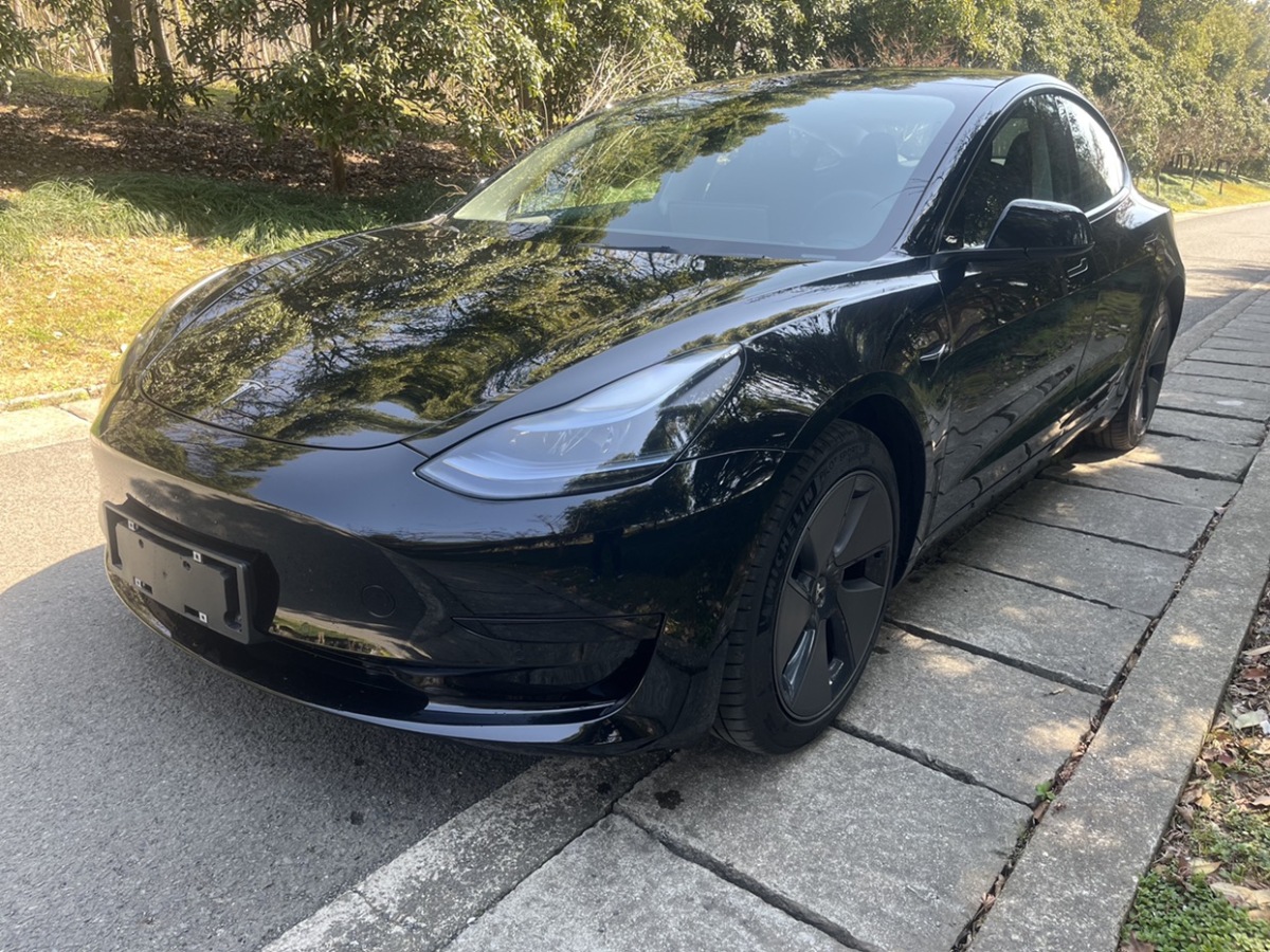 2023年3月比亞迪 L3 特斯拉Model3