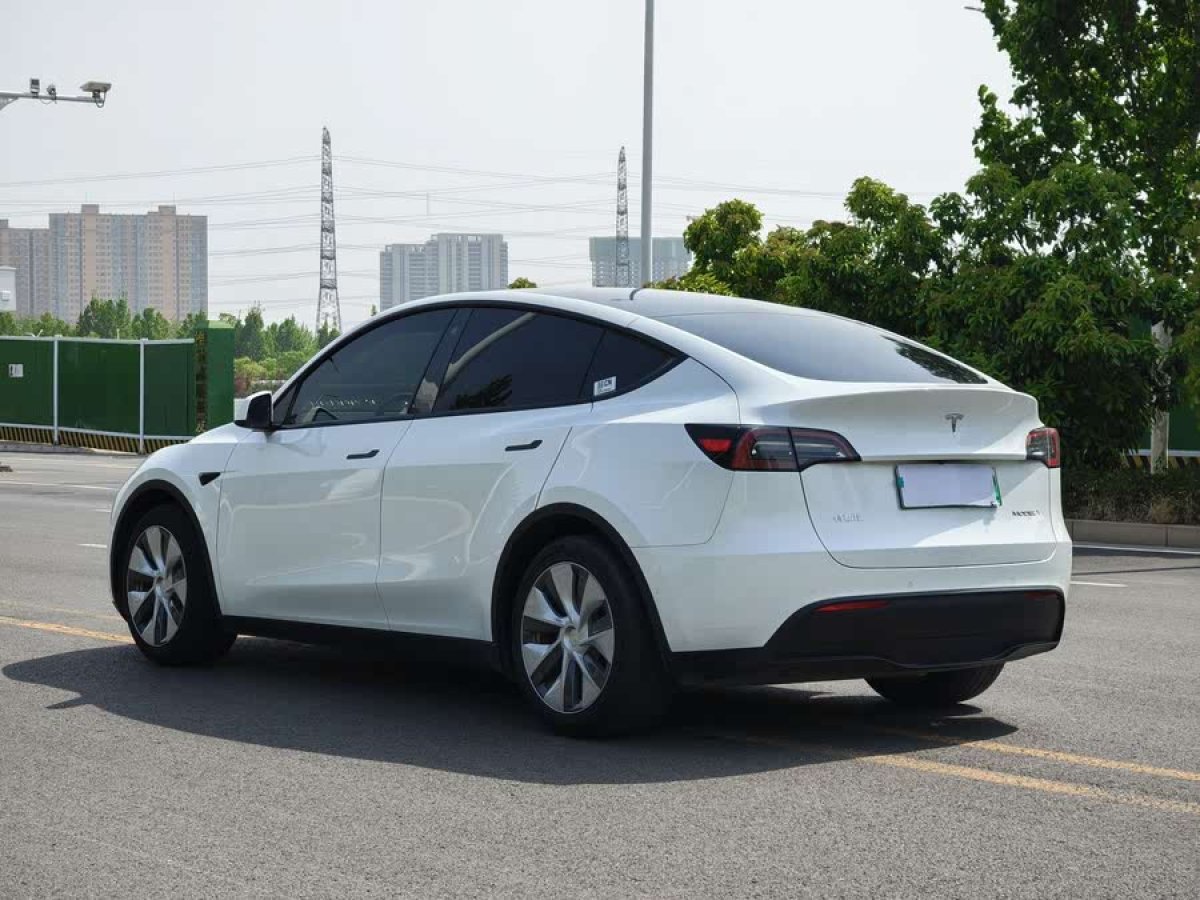 特斯拉 Model Y  2021款 標(biāo)準(zhǔn)續(xù)航后驅(qū)版圖片