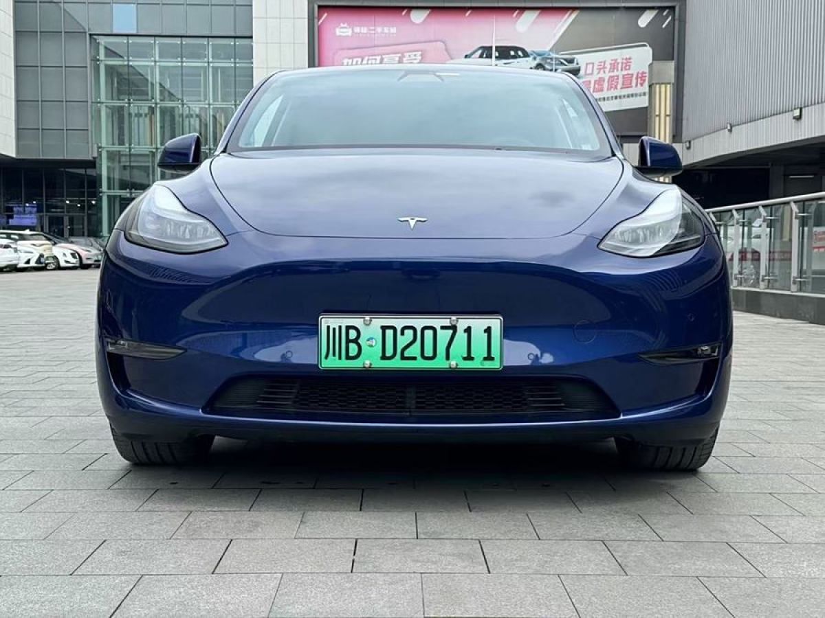 特斯拉 Model 3  2022款 Performance高性能全輪驅(qū)動(dòng)版圖片