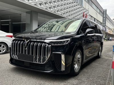 2024年4月 嵐圖 夢(mèng)想家 PHEV 超長續(xù)航尊貴版圖片