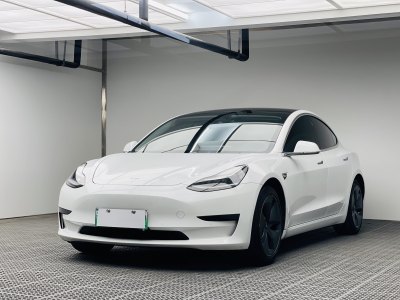 2020年6月 特斯拉 Model 3 標(biāo)準(zhǔn)續(xù)航后驅(qū)升級(jí)版圖片