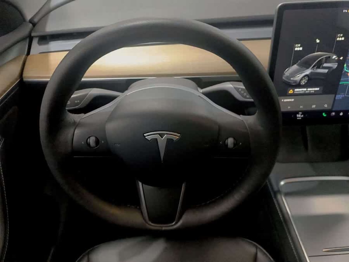 特斯拉 Model Y  2021款 標準續(xù)航后驅版圖片