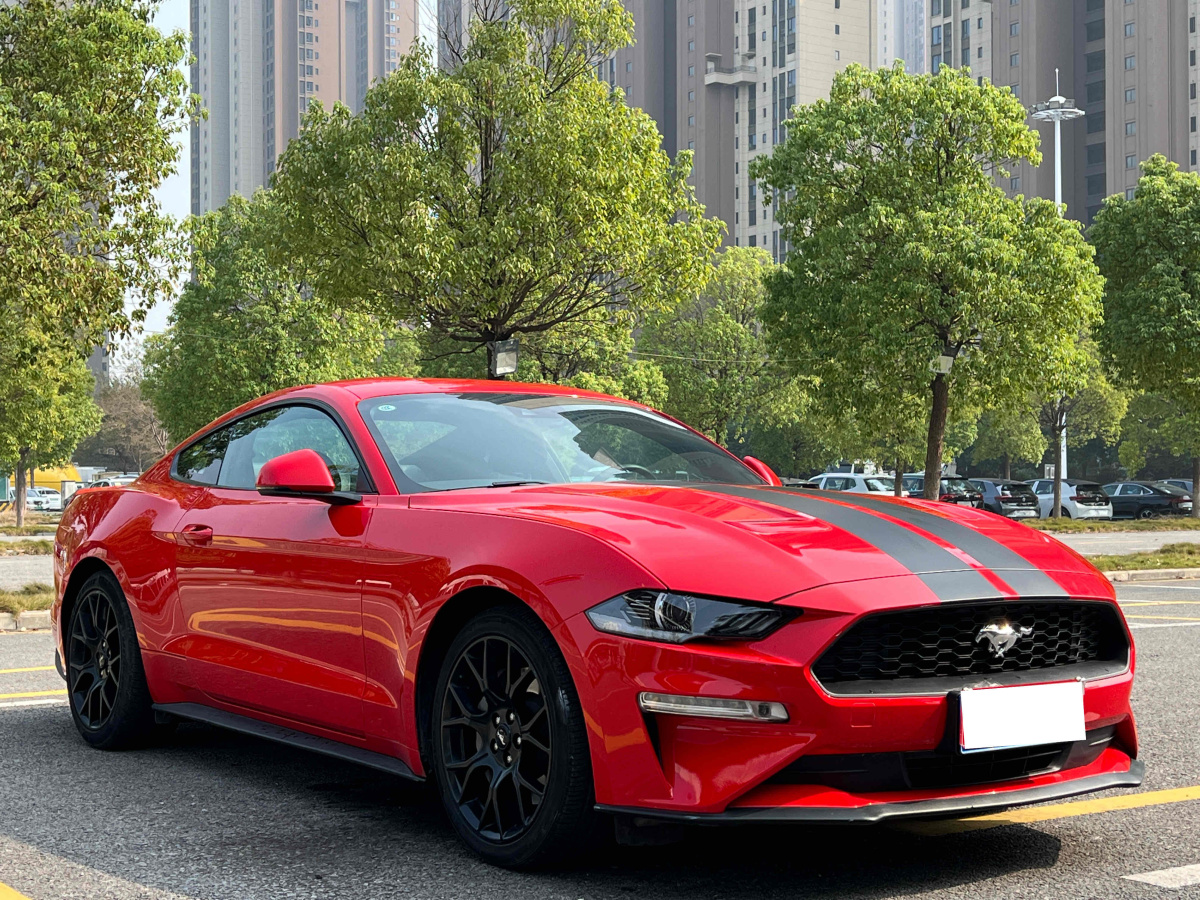 福特 Mustang  2019款 2.3L EcoBoost圖片