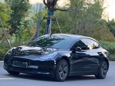 2022年1月 特斯拉 Model 3 改款 標(biāo)準(zhǔn)續(xù)航后驅(qū)升級(jí)版圖片