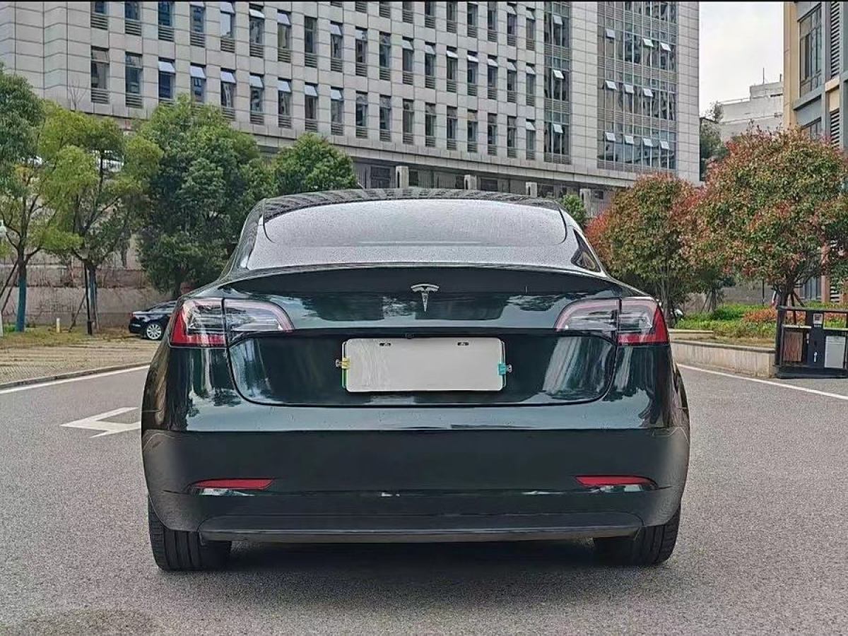 特斯拉 Model Y  2020款 改款 標(biāo)準(zhǔn)續(xù)航后驅(qū)升級(jí)版圖片