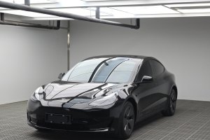 Model Y 特斯拉 标准续航后驱升级版 3D6