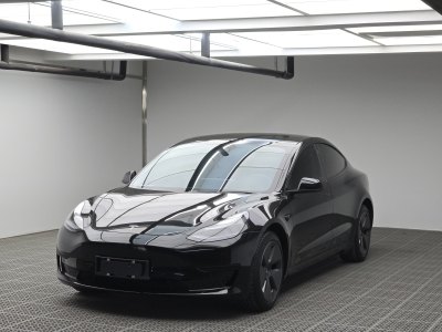 2021年7月 特斯拉 Model Y 標準續(xù)航后驅升級版 3D6圖片