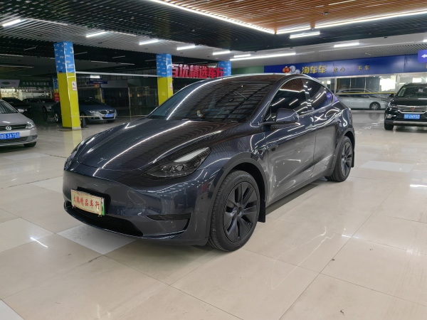 特斯拉 Model Y  2020款 改款 长续航后轮驱动版