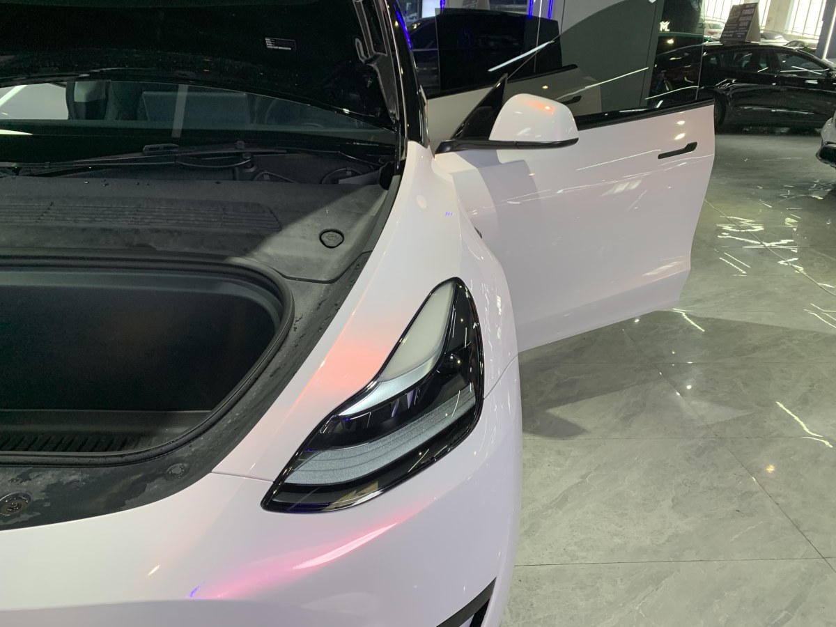 特斯拉 Model 3  2020款 改款 長續(xù)航后輪驅動版圖片