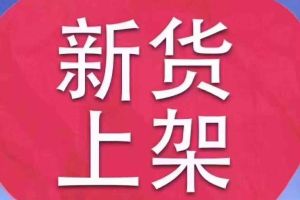 奔馳C級 奔馳 C 300 L