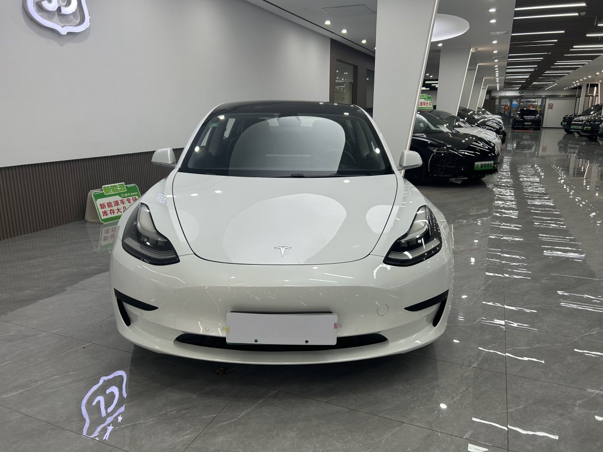 特斯拉 Model 3  2019款 標準續(xù)航后驅(qū)升級版圖片