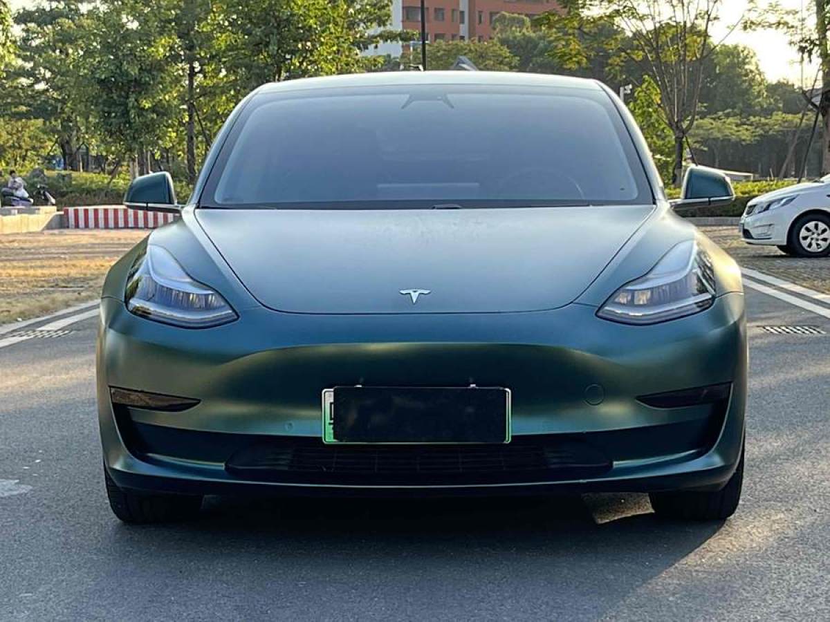 特斯拉 Model 3  2019款 標(biāo)準(zhǔn)續(xù)航后驅(qū)升級版圖片